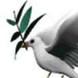 Meet your Posher, Sanjay